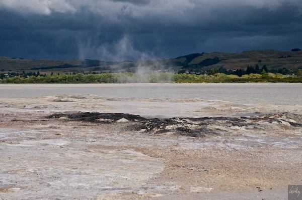 New Zealand 09 10  124